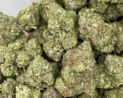 PINK BOMB (MEGA GAS) - Image 1